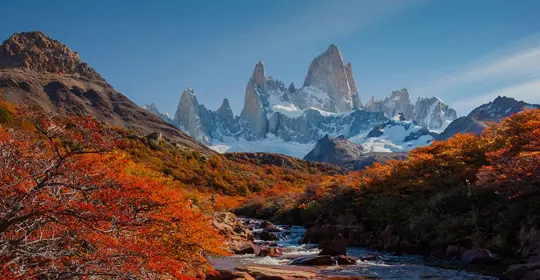 Snowy mountains between autumnal orange trees