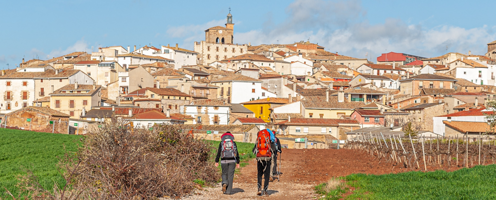 Walking The Camino De Santiago Hero