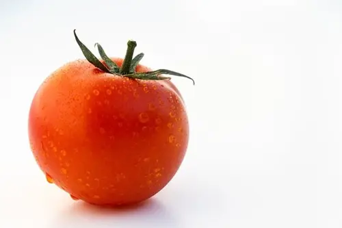 Fresh tomato